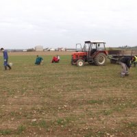 Brigáda kamen u p. Nevorala a firmy Zeos