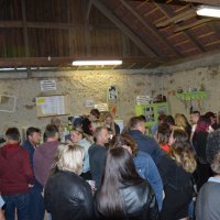 Reflexy a Rock String