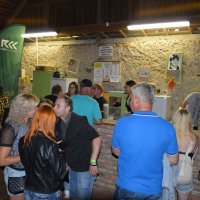 Zábava Rock String 23.7.22